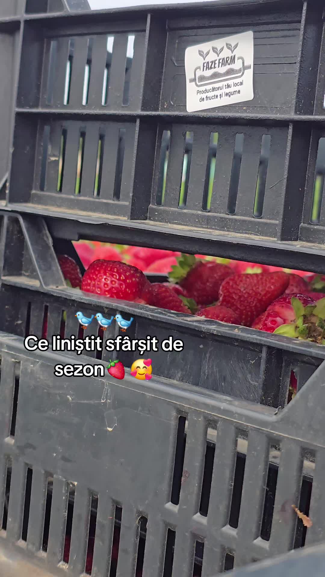 @Faze Farm