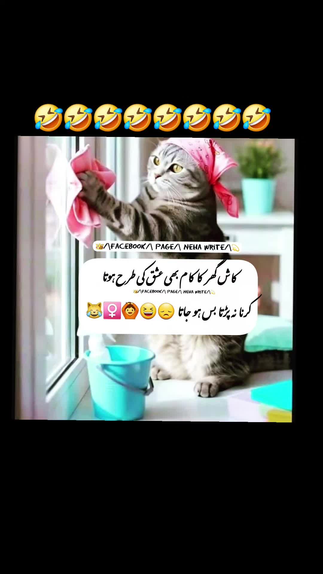 @🌹MeEm jEe SHeIkH میم جی 🌹Uk