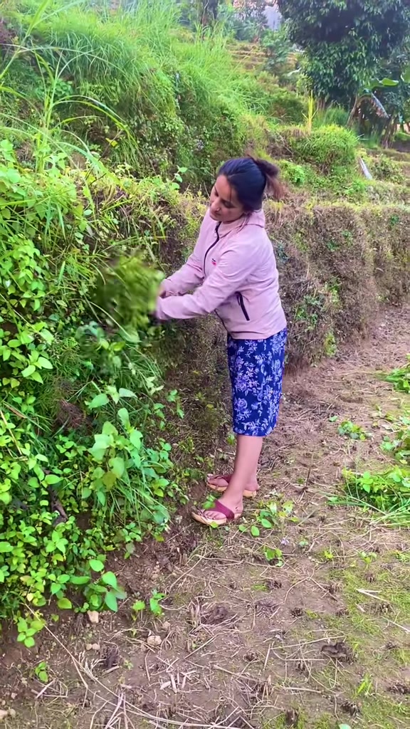 @Lamichhane sushma