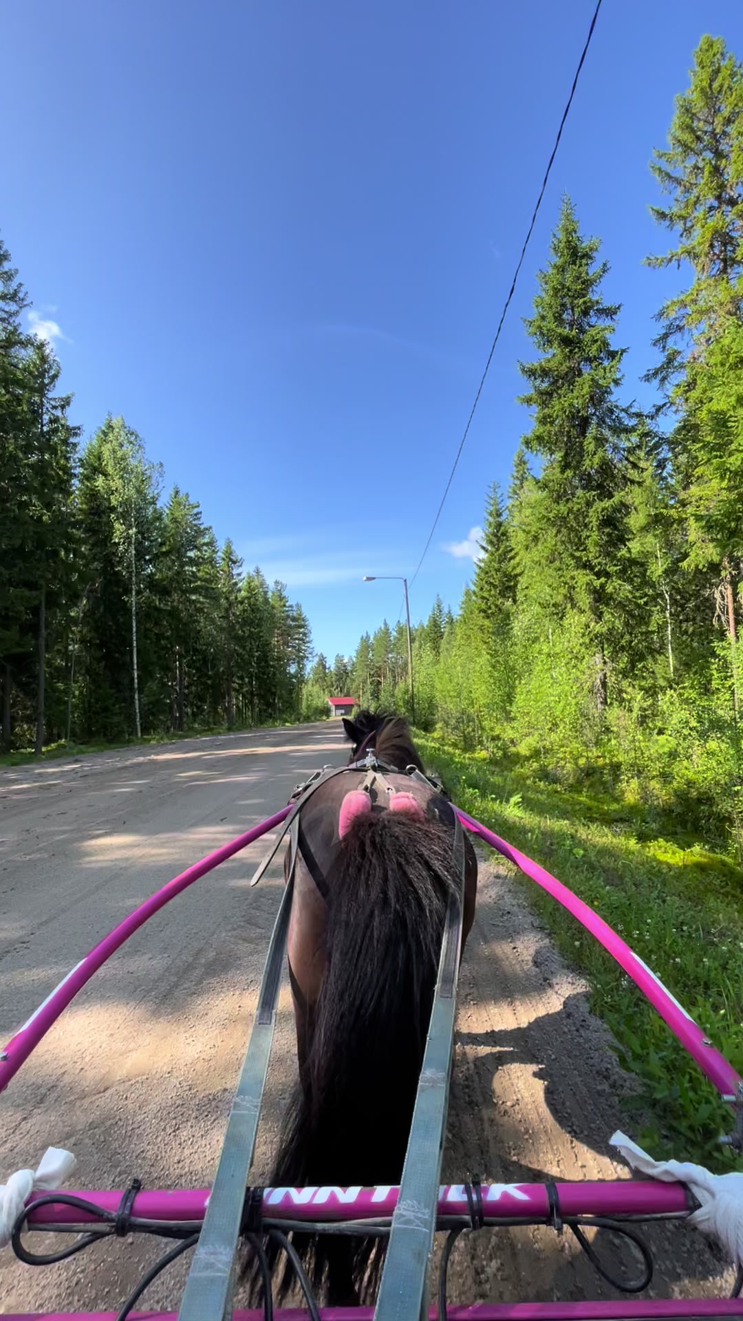 @🦄🦄