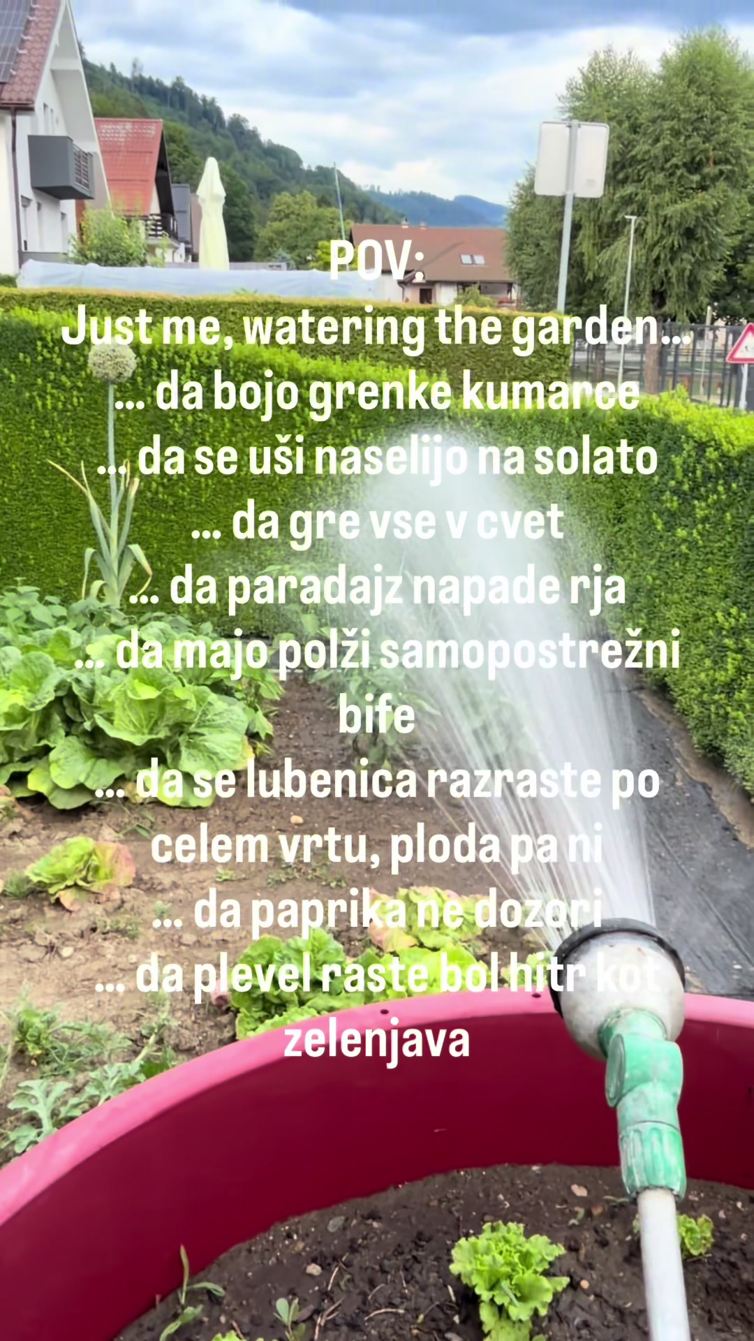 @Kariin Lipovniik