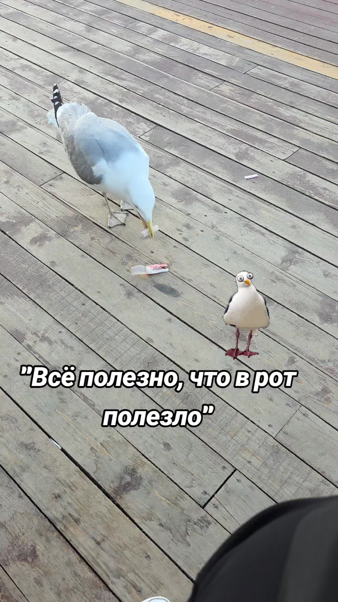 @Женька и Барсик🇱🇻