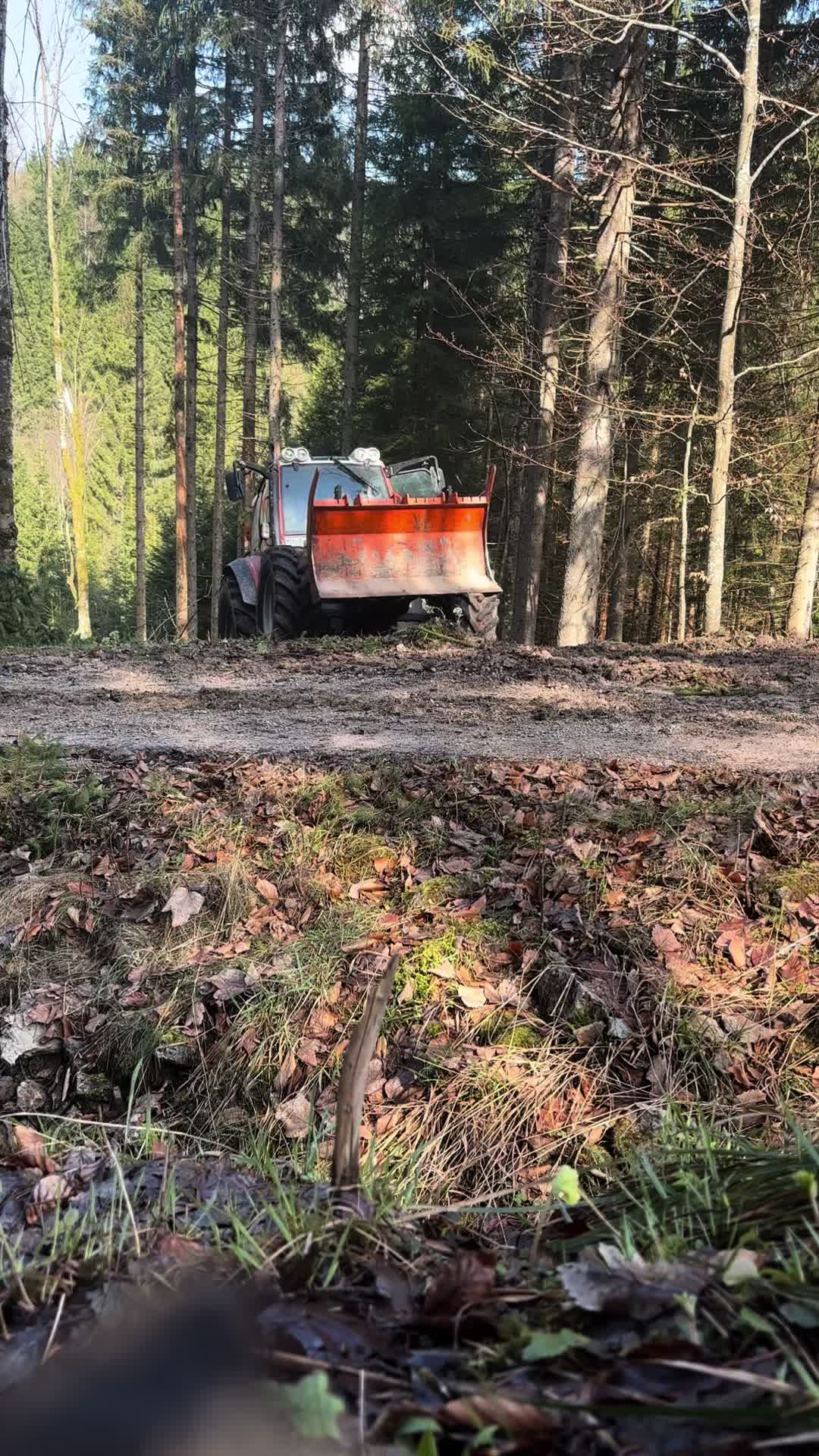 @Agrarius 🌲🇦🇹
