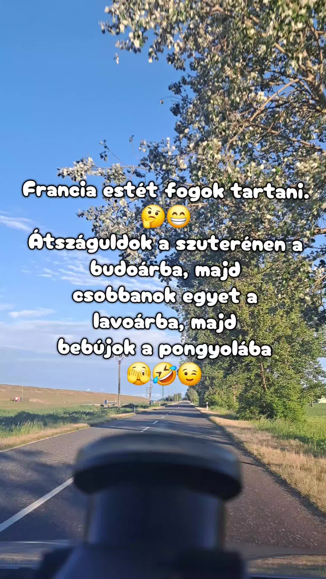 @👑Picisárika👑