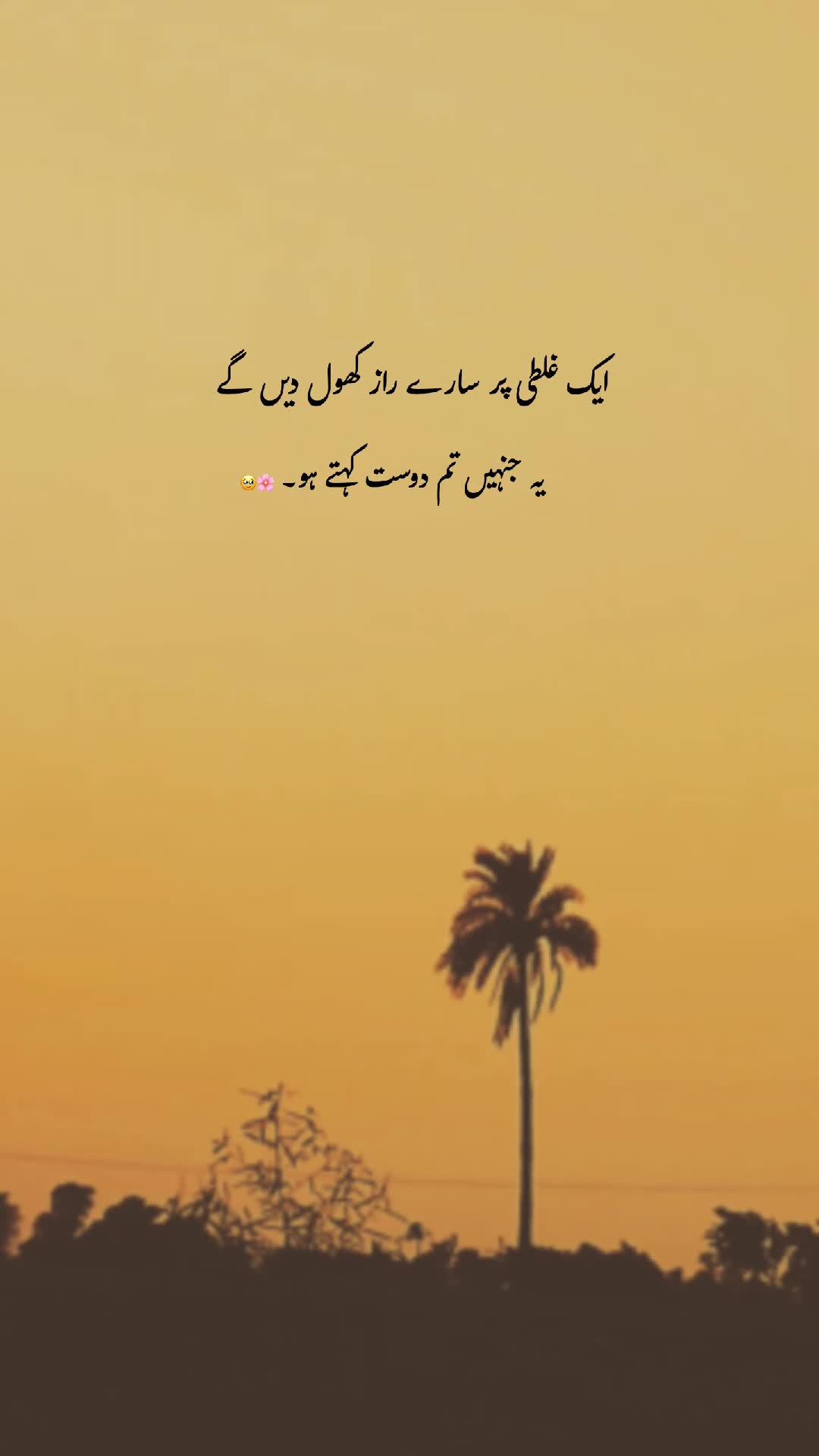 @𓆩♡𓆪