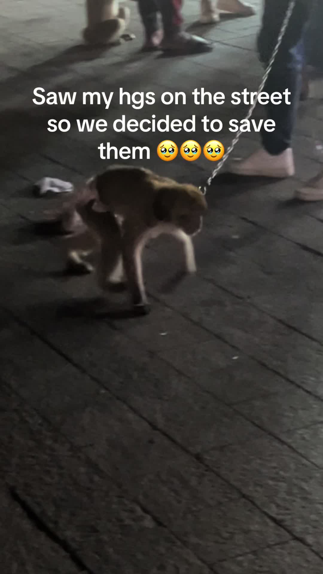 @dazza