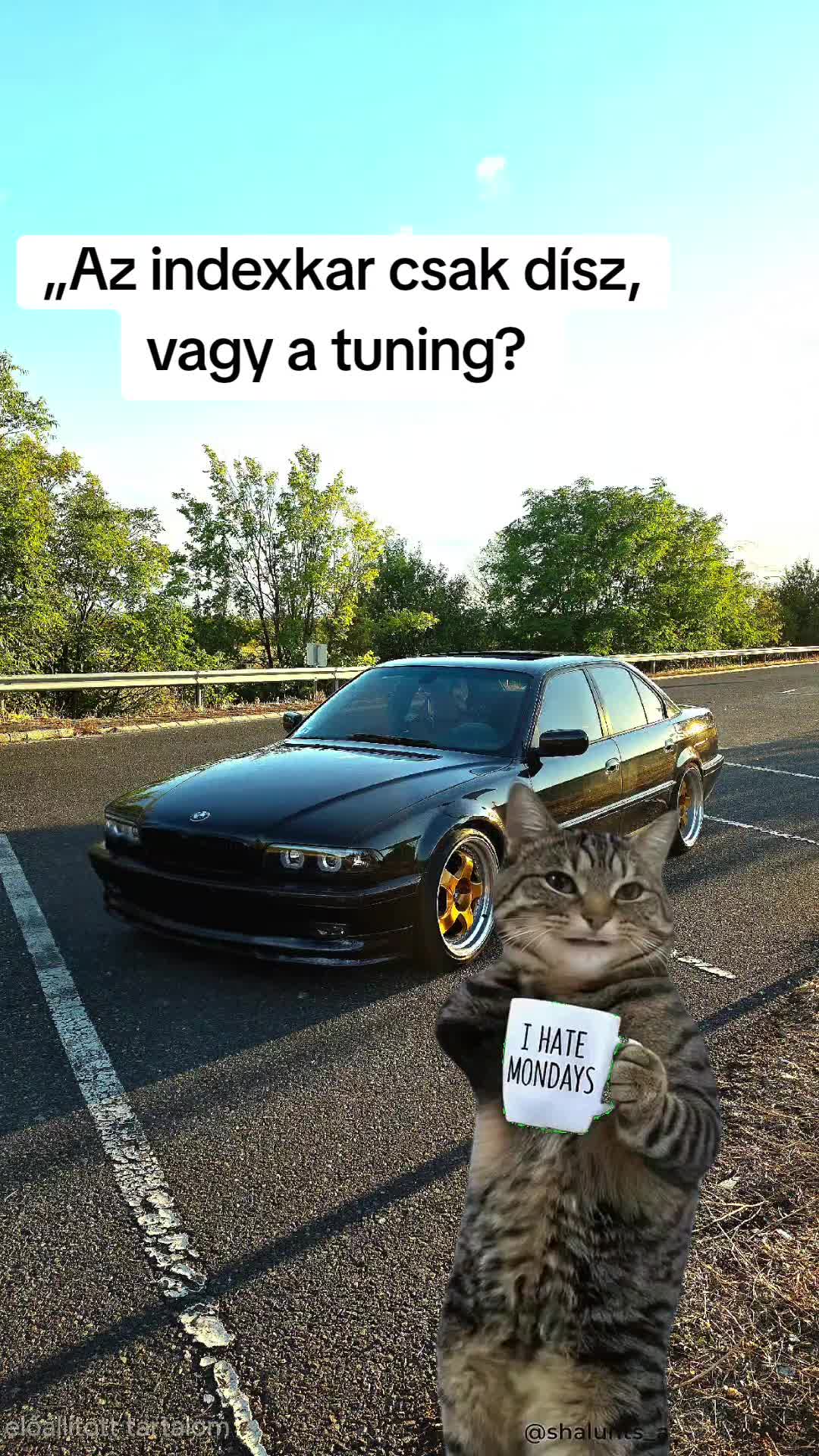 @Zsolt