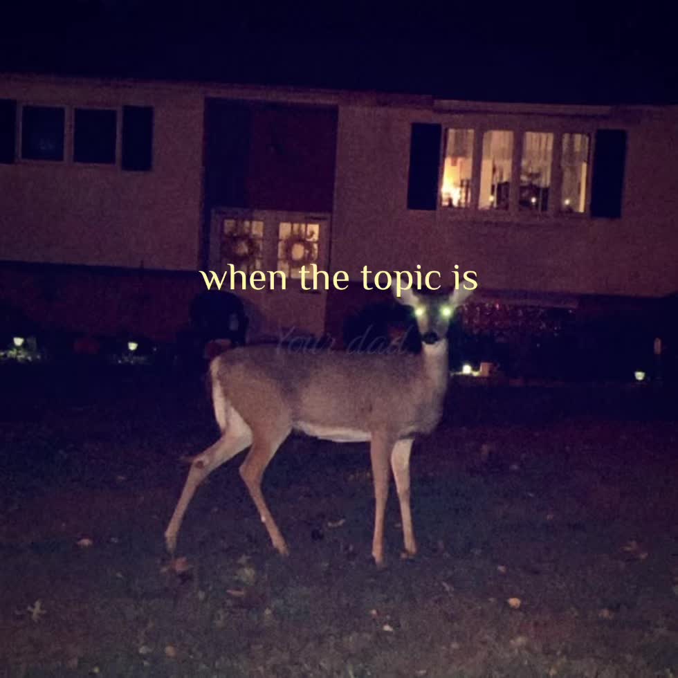 @💫