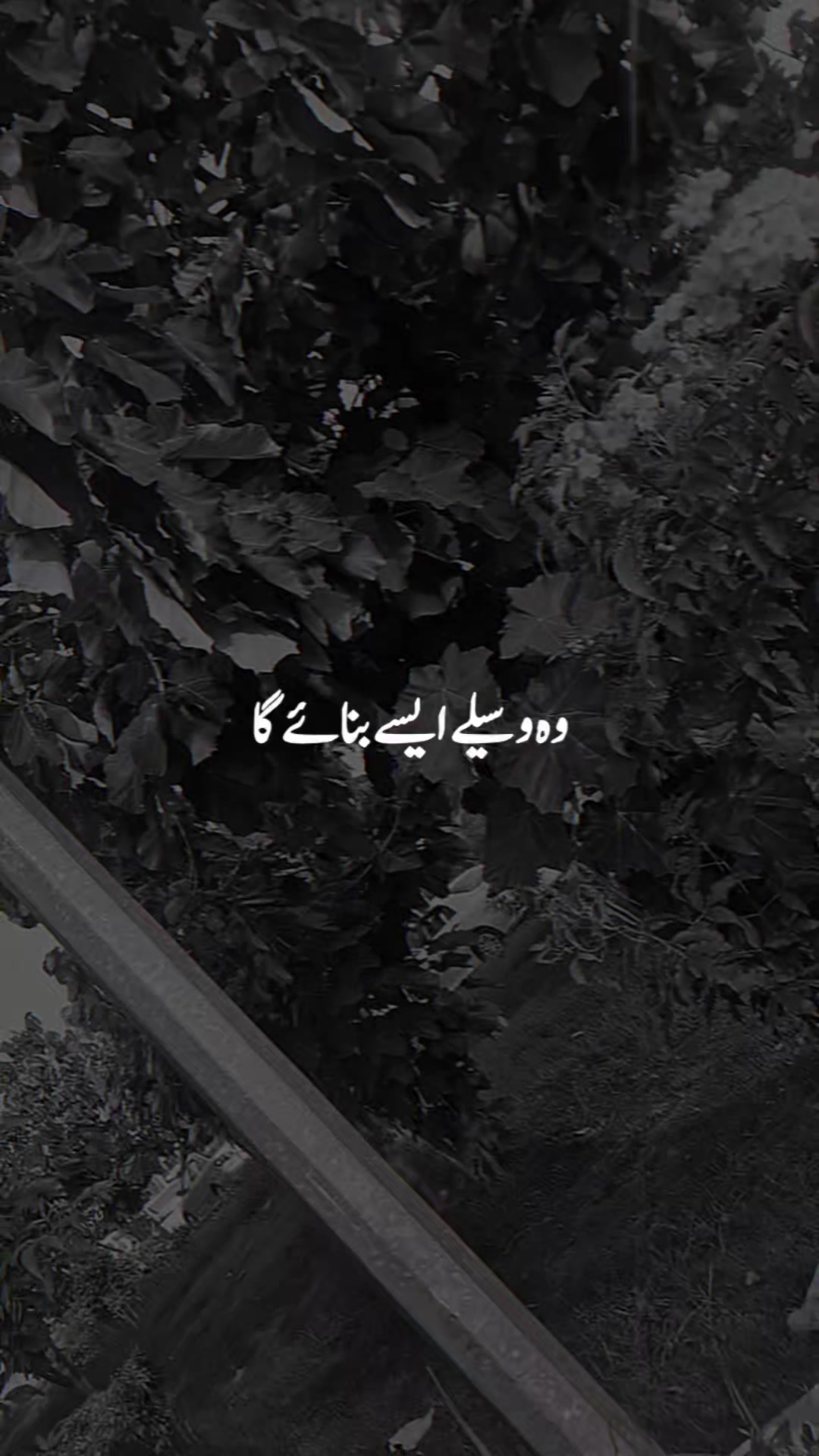 @hayya