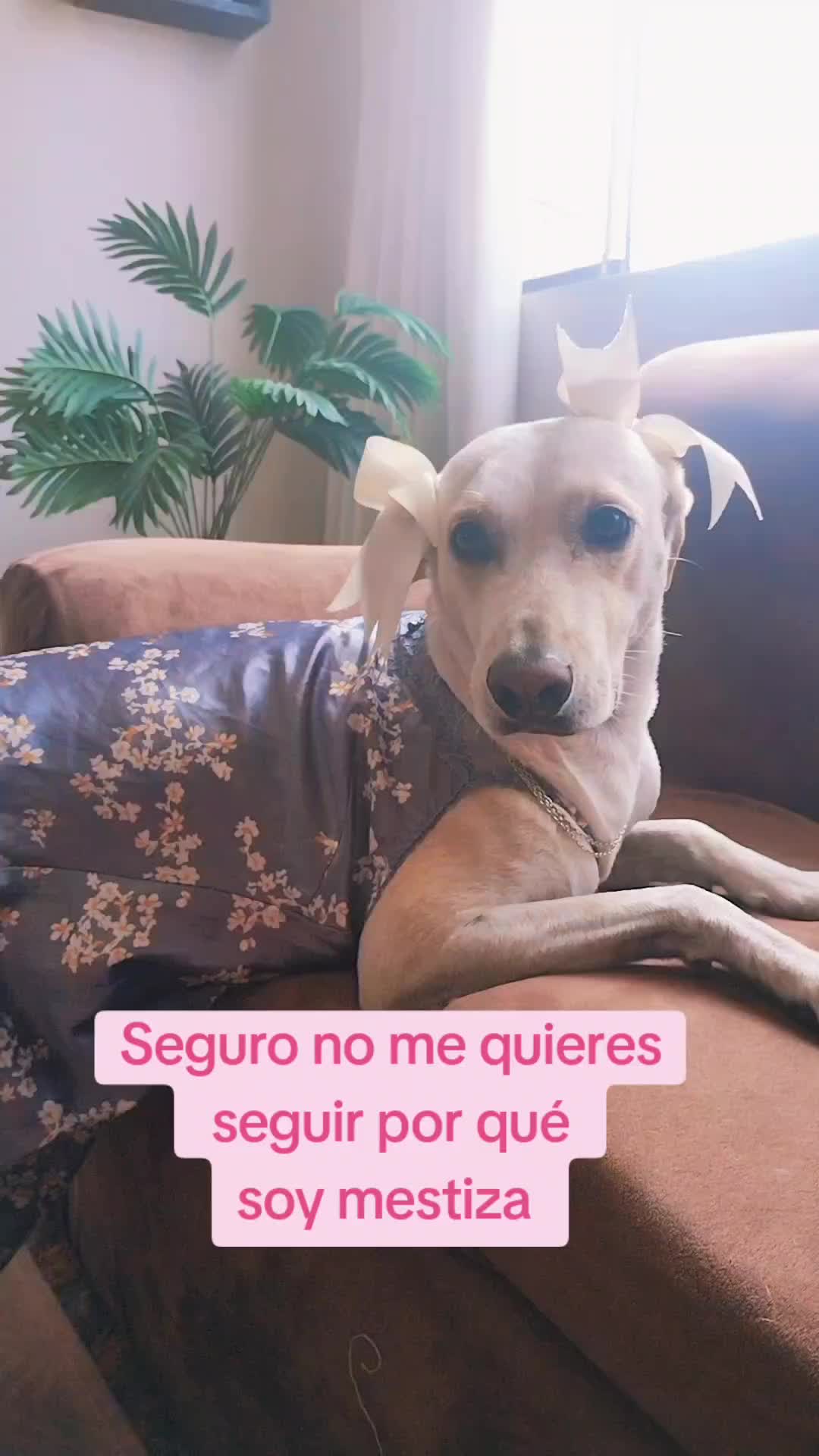@winnie ❤🦮