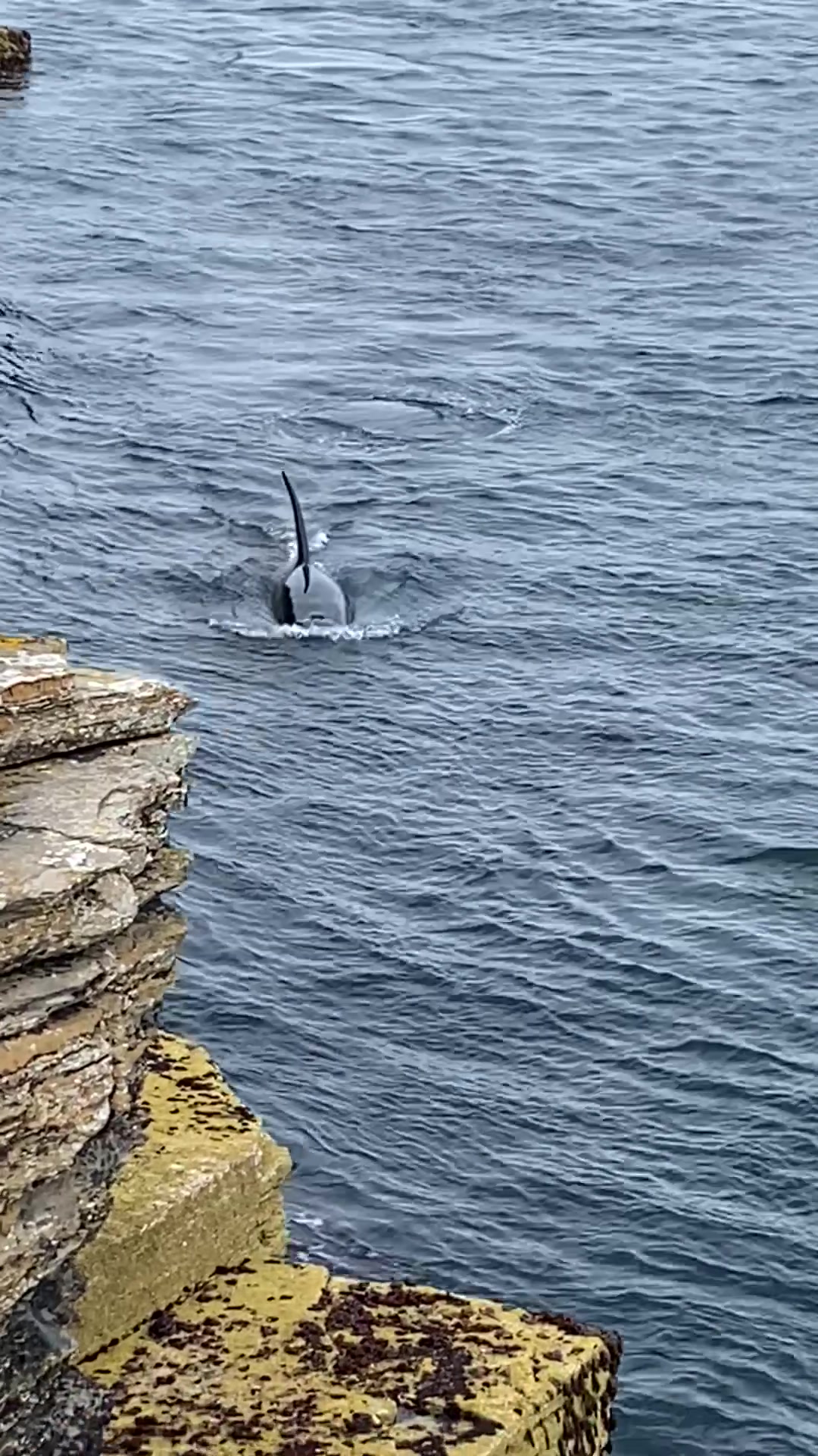 @Orkney Uncovered