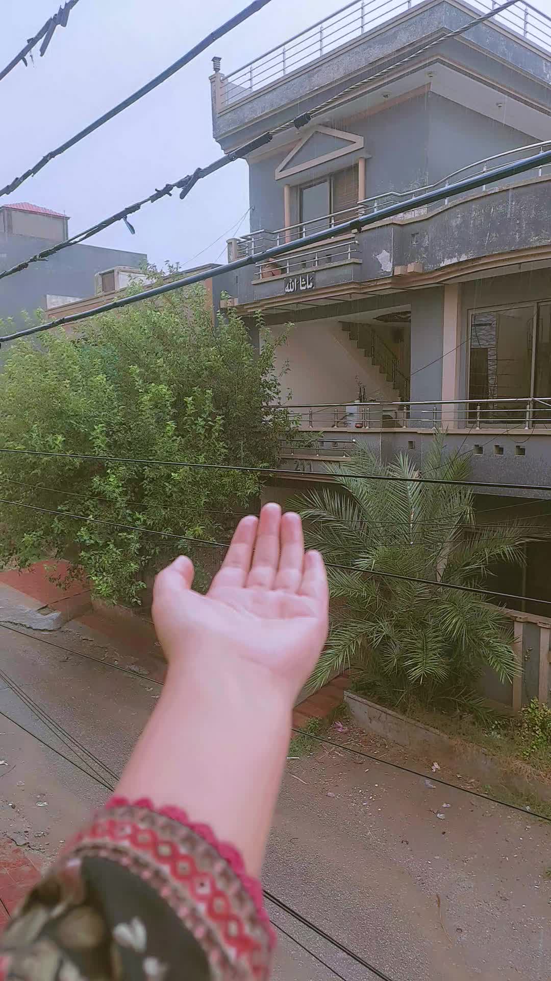 @𝑺𝒐𝒏𝒊𝒚𝒂 👑
