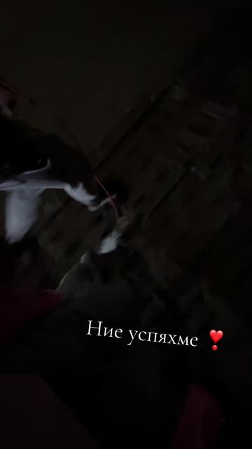 @Antonova__16