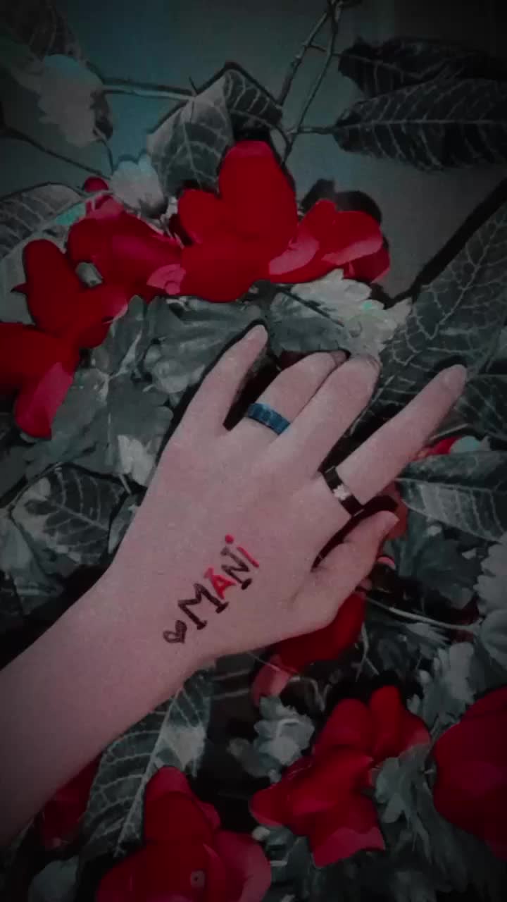 @Dr Ayaat Fatima 🩺