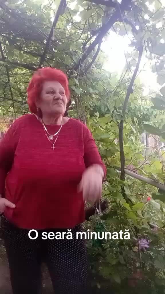@Alejandrina Fanaru