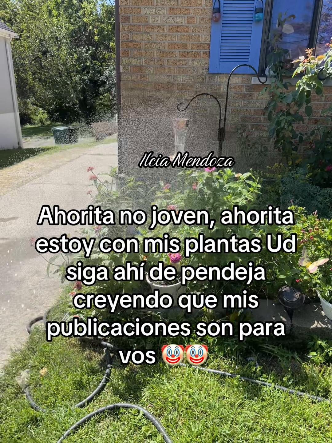@Ilcia Mendoza🦋🌻🖤