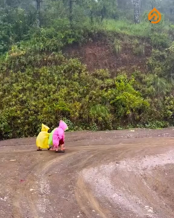 @Rasana Shakya
