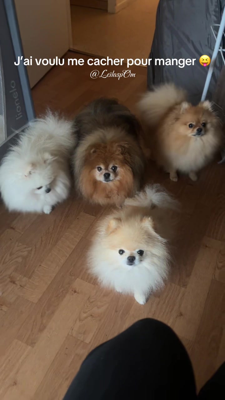 @🎀Leïla’spOm🎀