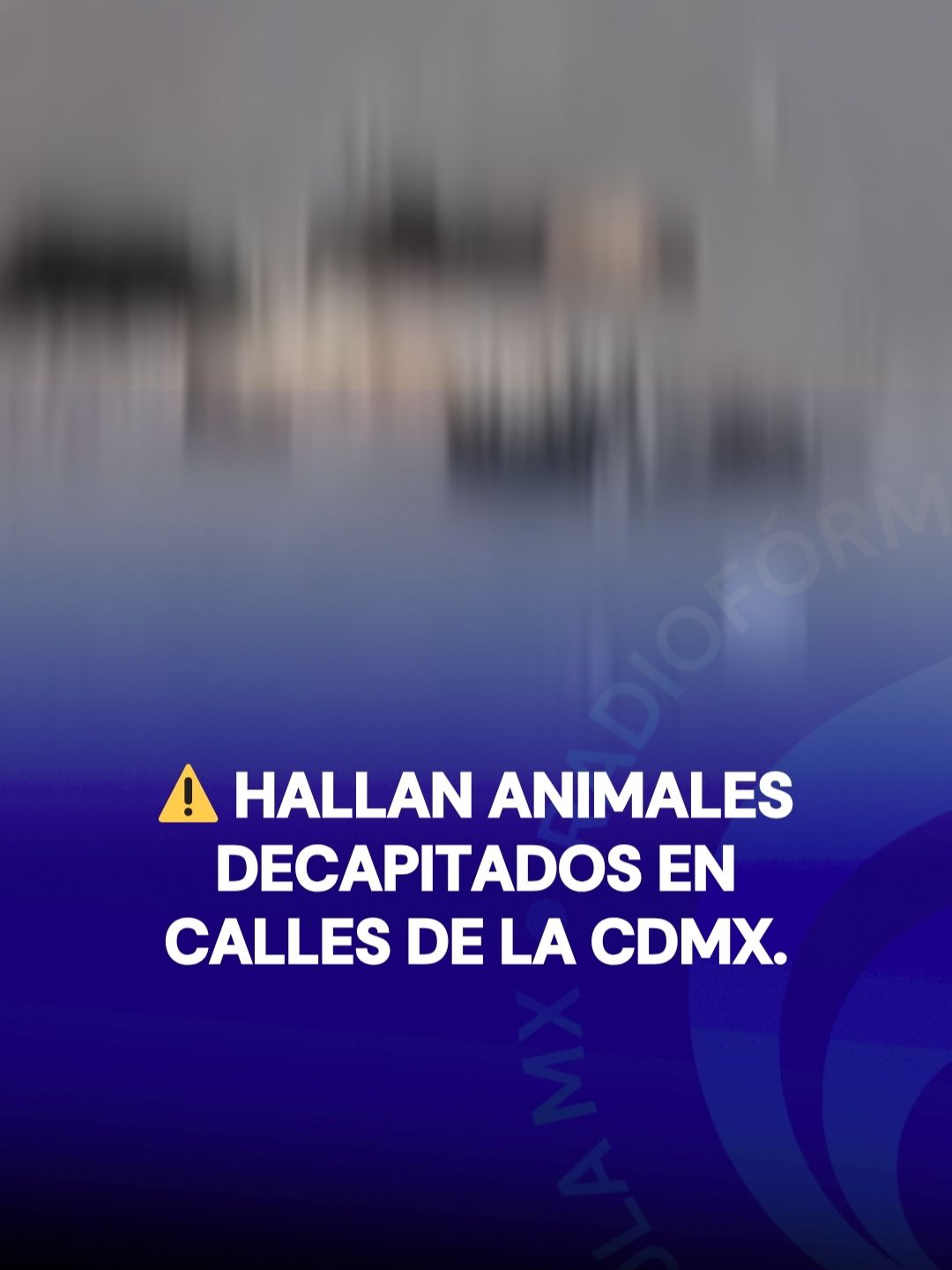@Radio F&oacute;rmula