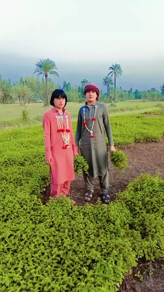 @❤️🩹CHOTA❤️🩹صاحب❤️🩹