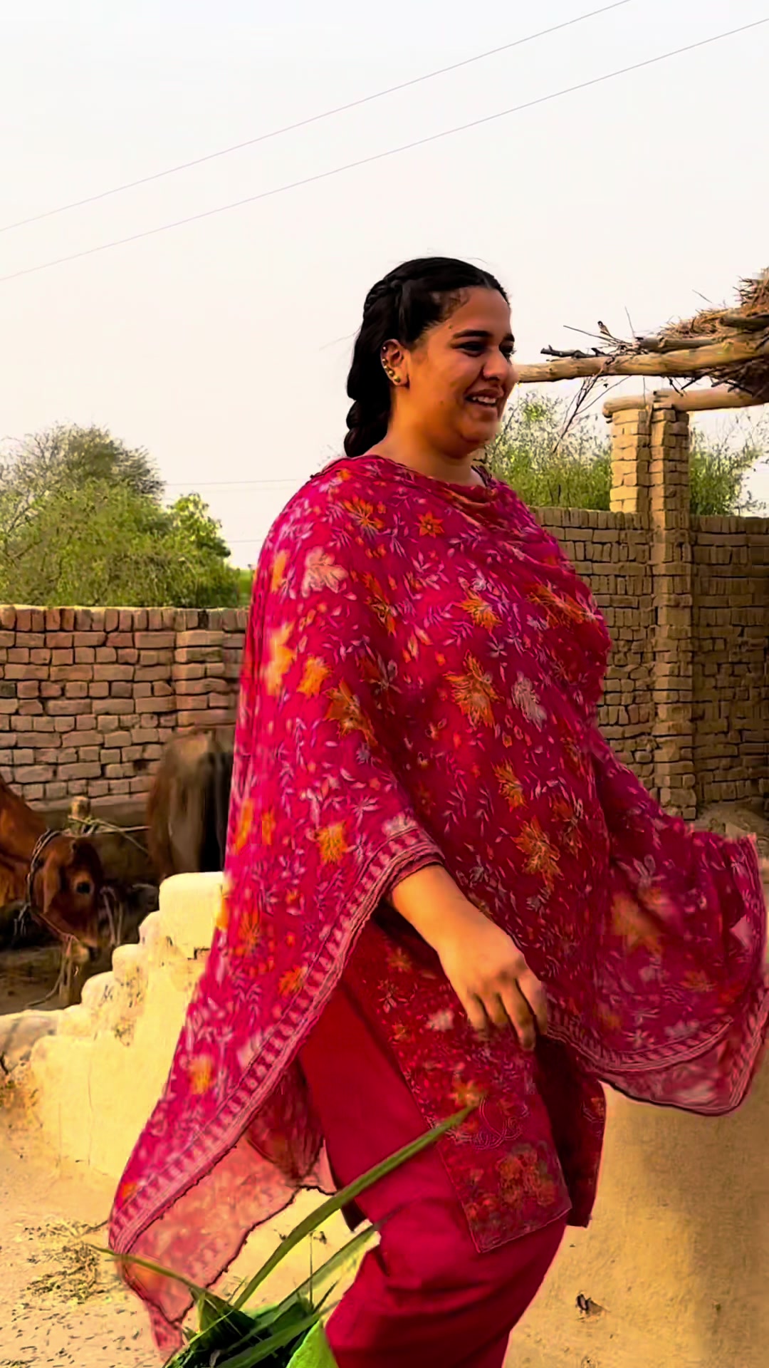 @Punjabi Bulbul Aliza Sehar