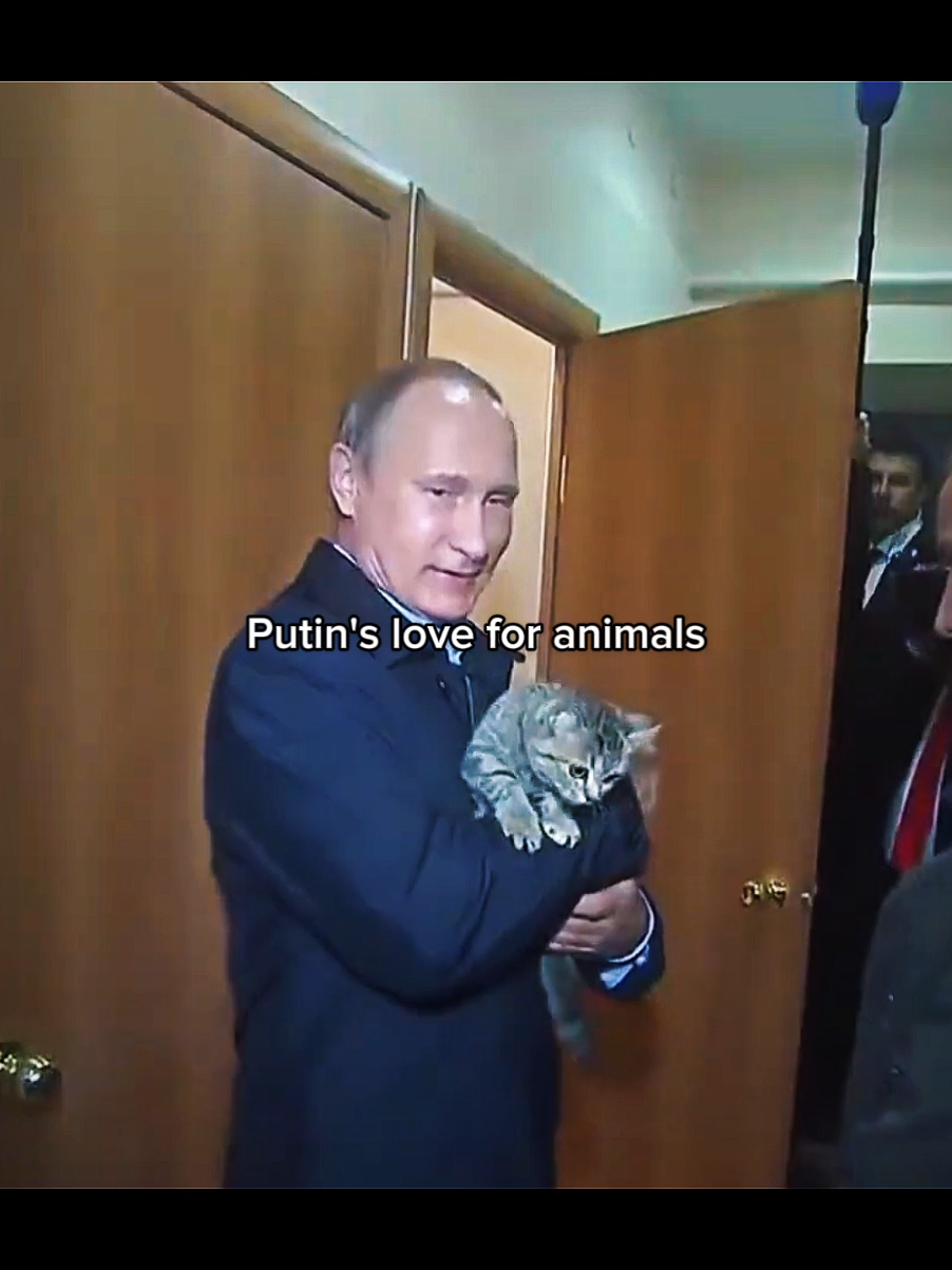 @kingputin__