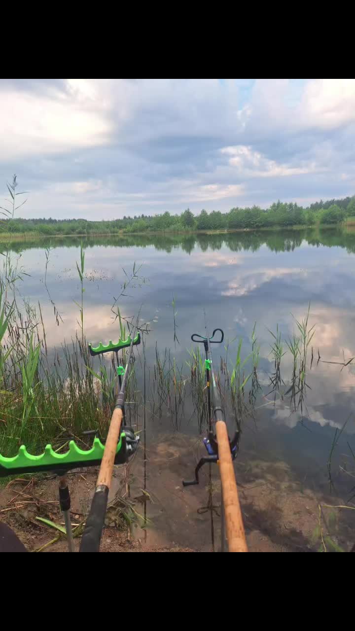 @tadeuszrozanski
