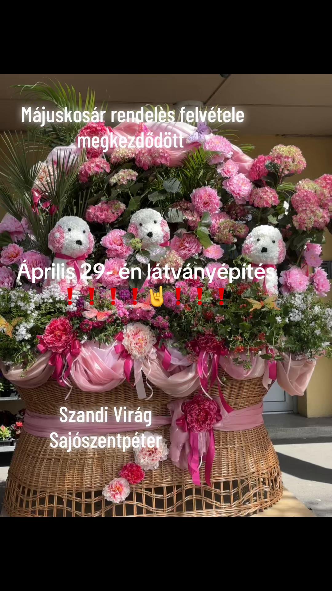 @SzandiVir&aacute;g