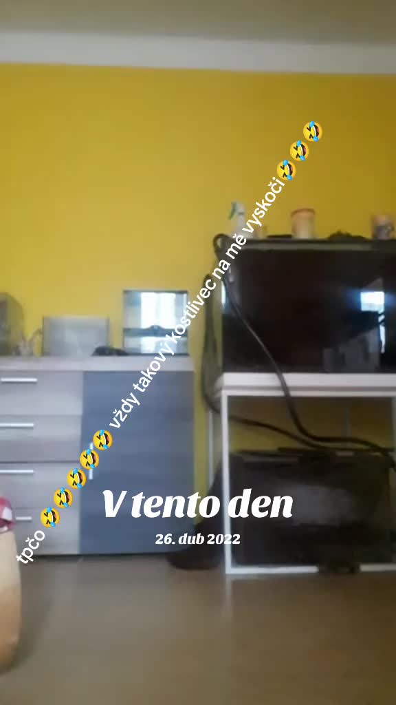 @Matěj !!!MAZLIK!!! Mádr666