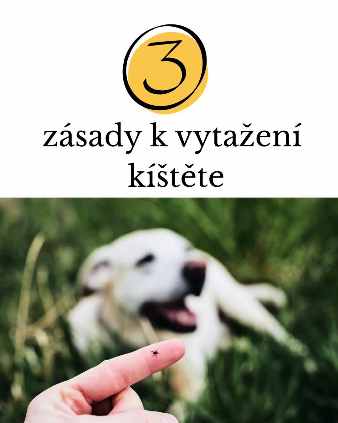 @Náš veterinář
