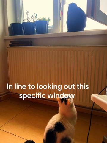 @iseepatterns2
