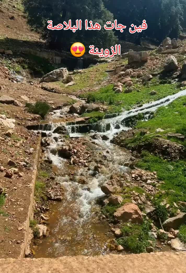 @abo.. iyad