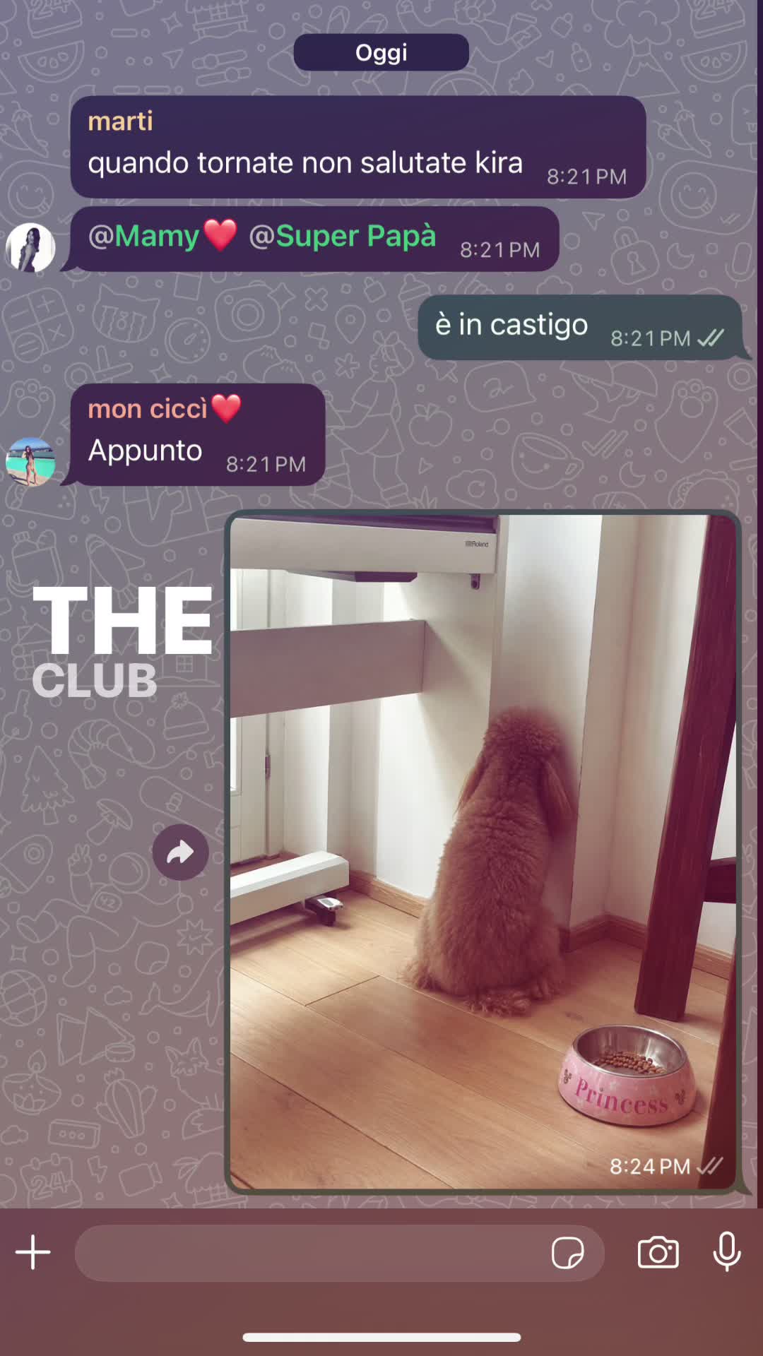 @spamm_a_caso_