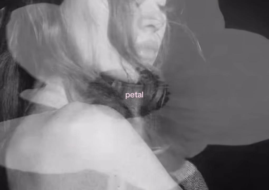 @eloïse ౨ৎ