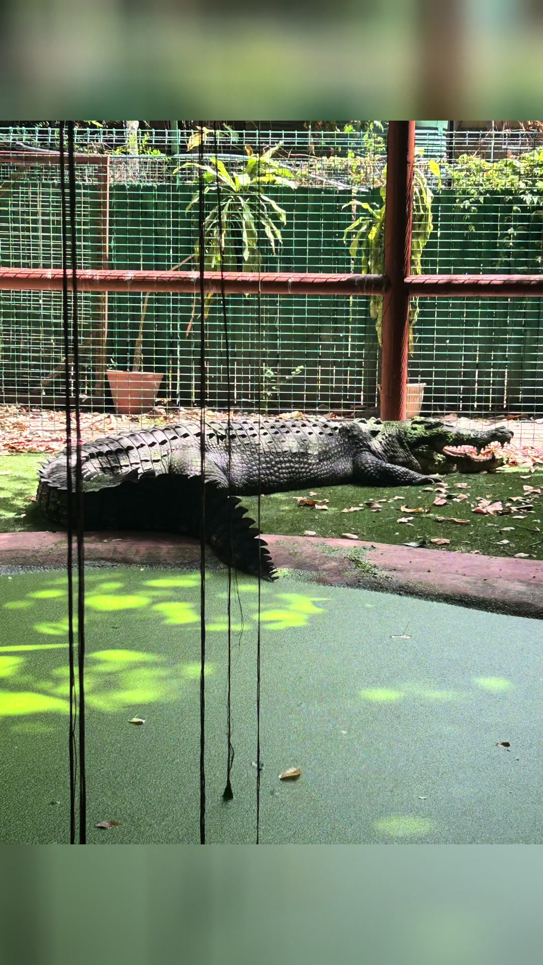 @TheIcrausWay