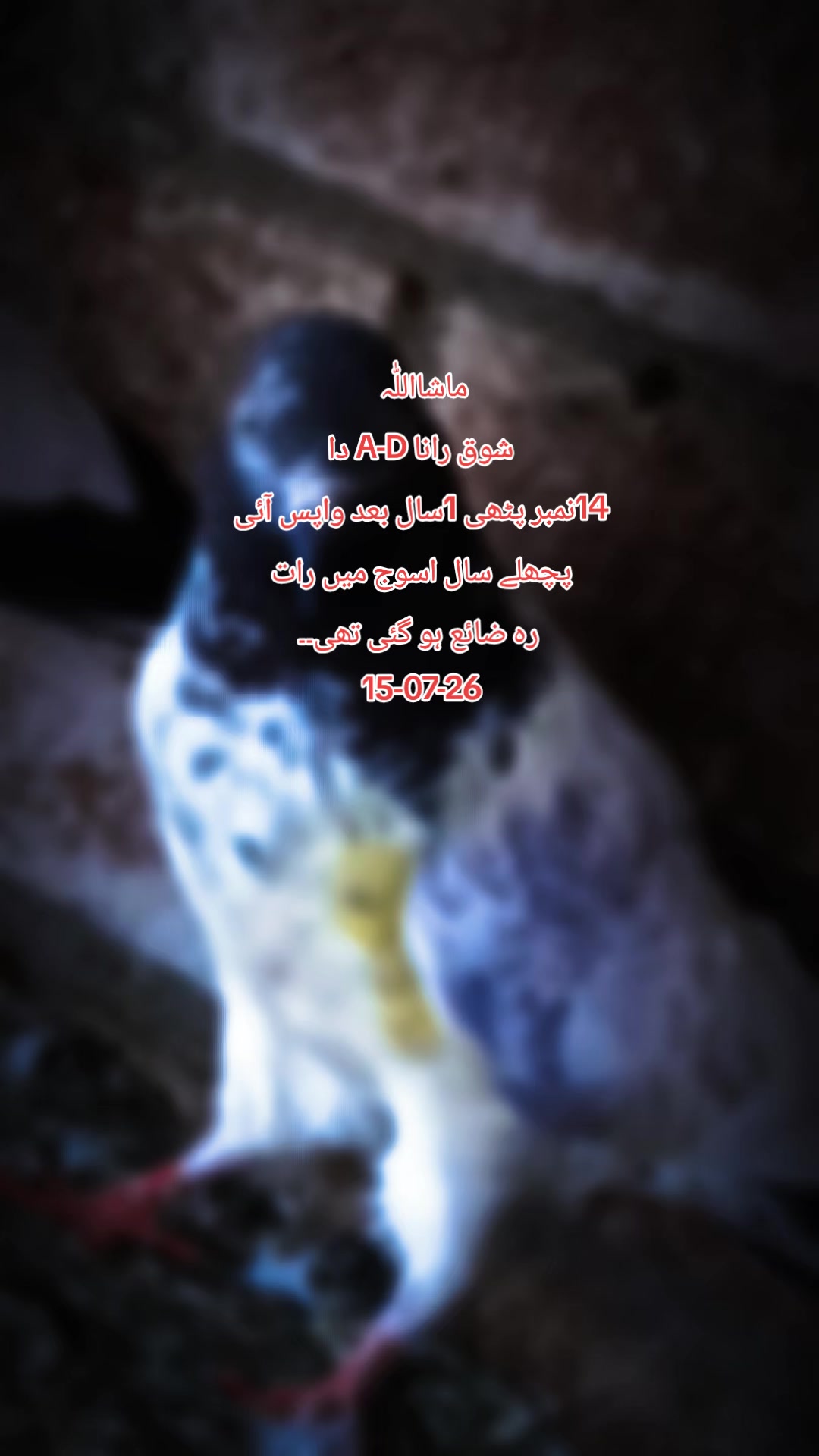 @RanaAdi302