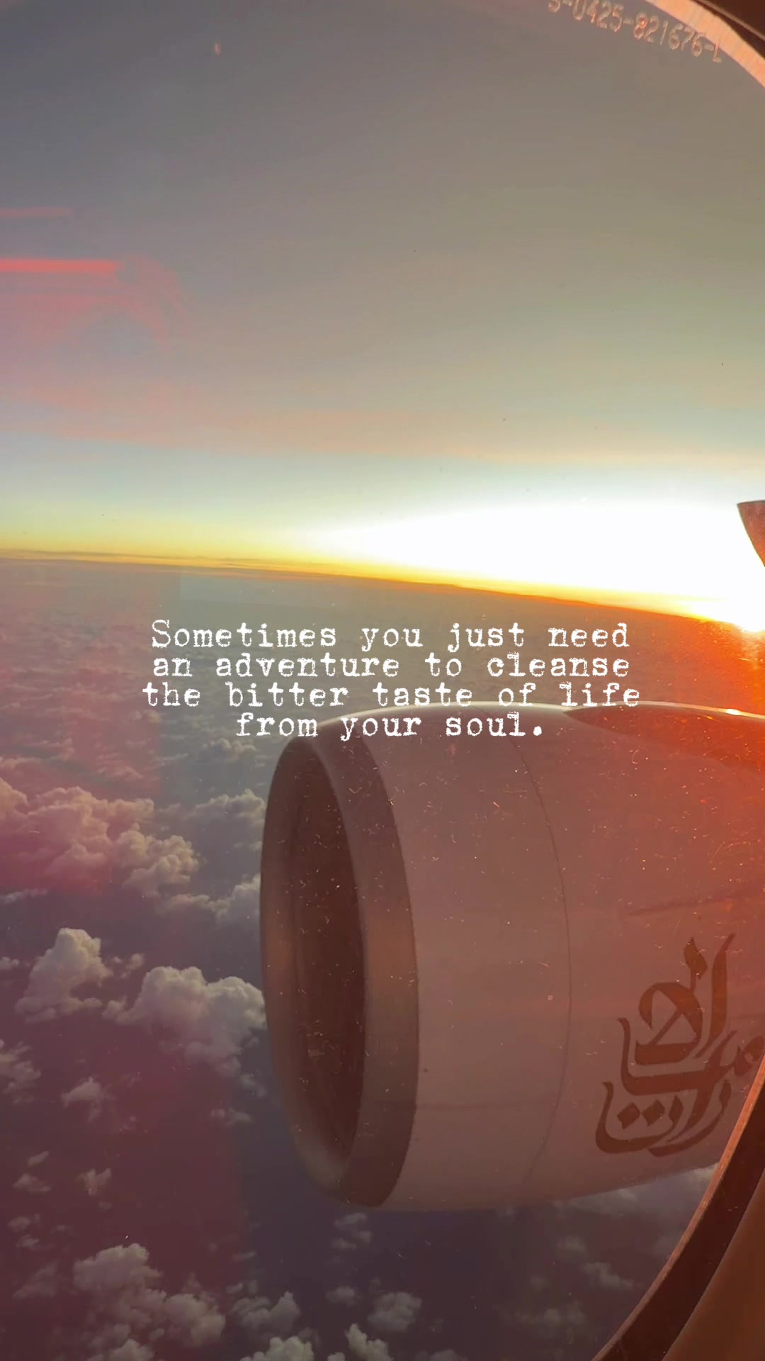 @Travel The World 🌎