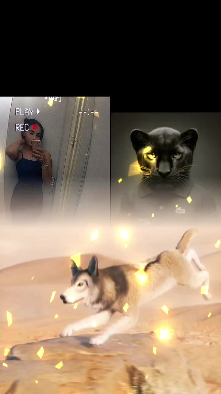 @elaa25