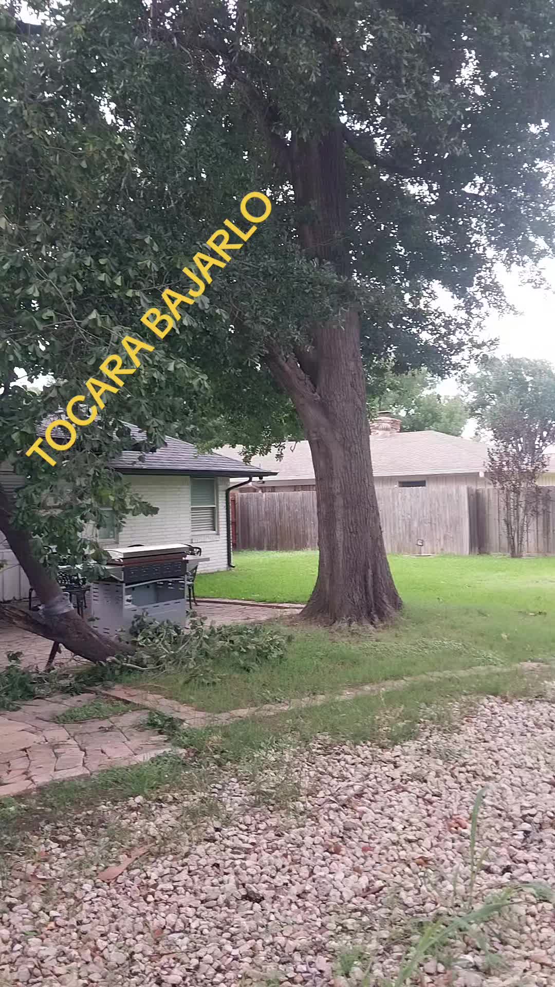 @JG Garcia70725