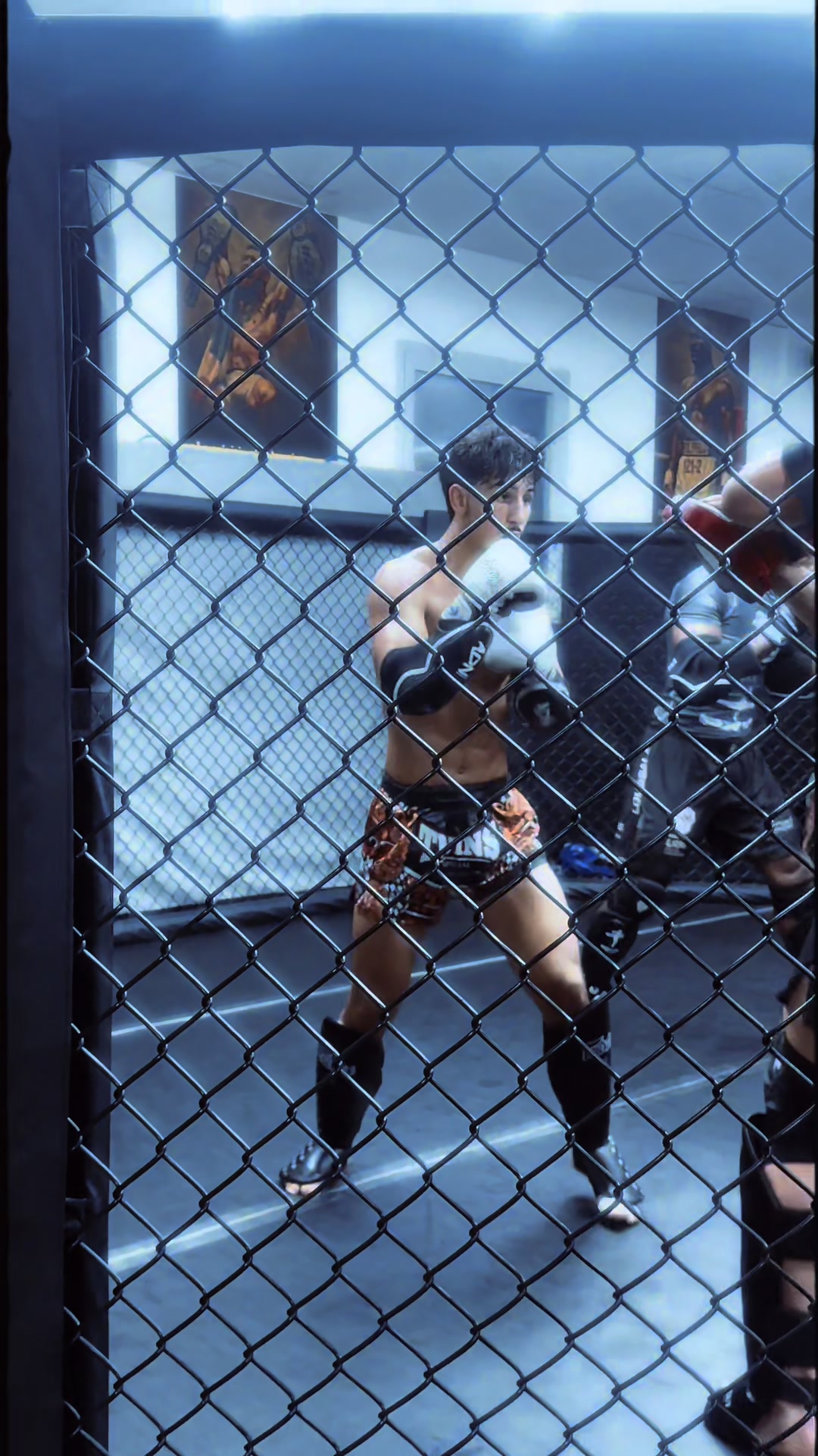 @orlandomma
