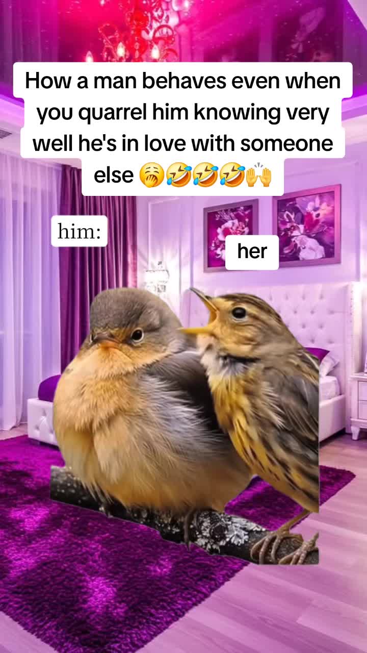 @Miss Vibez ๐ค๐๐