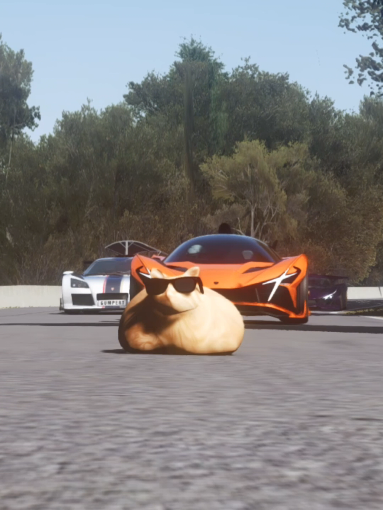 @Pablo the Race Cat