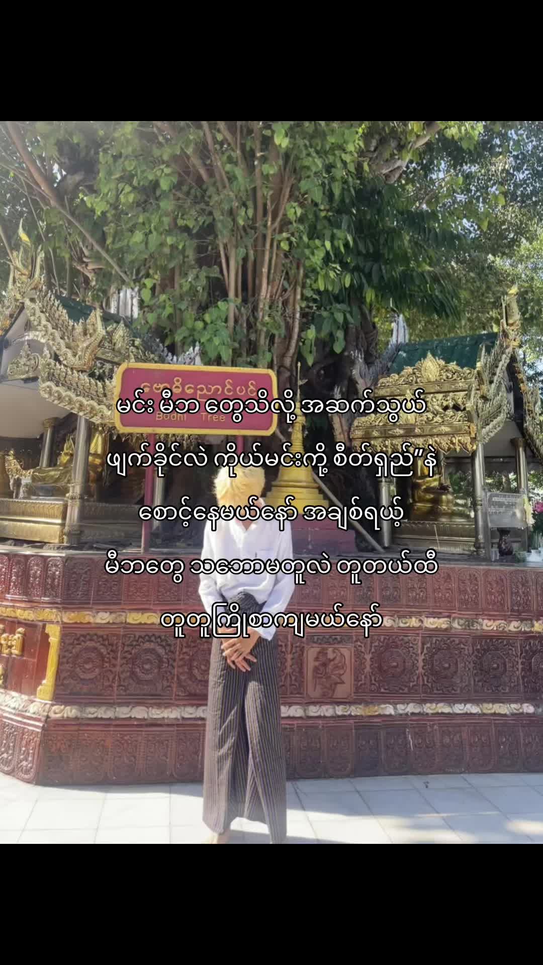 @{ညိုလေ}🦁