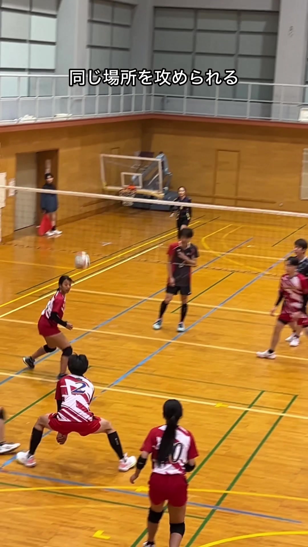 @クルーズカップ