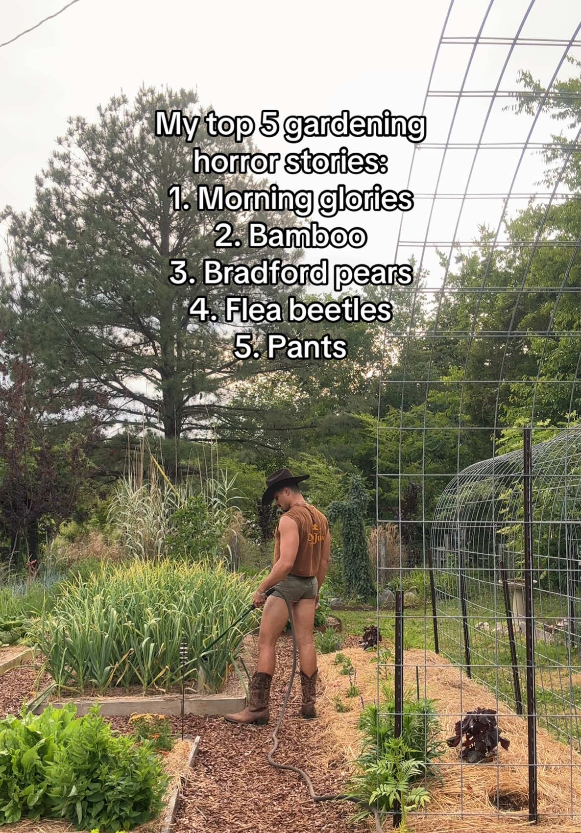 @redleafranch