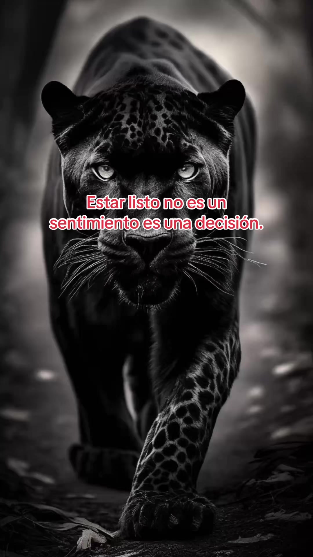 @Tania Ruiz