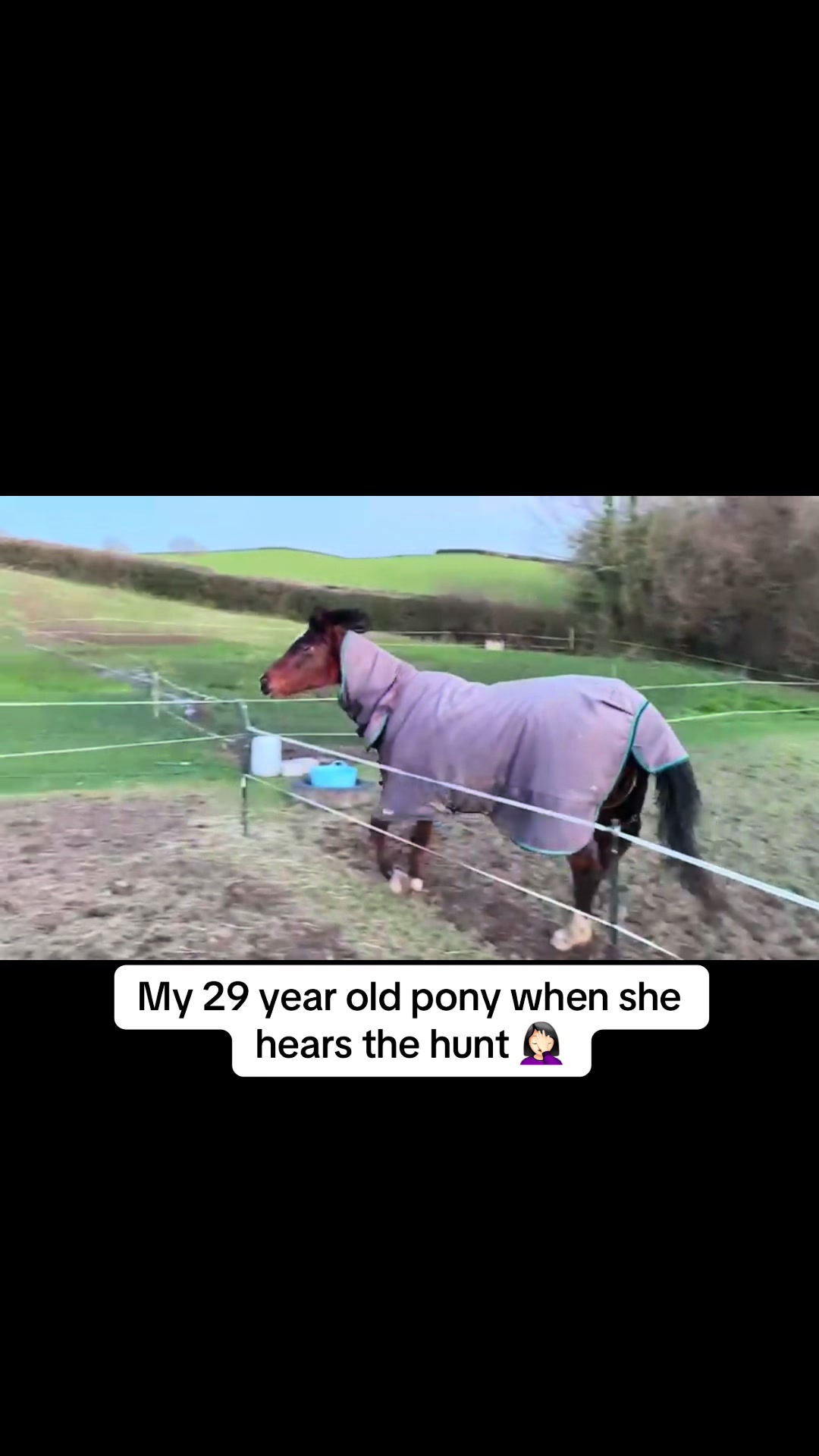 @jhenley16