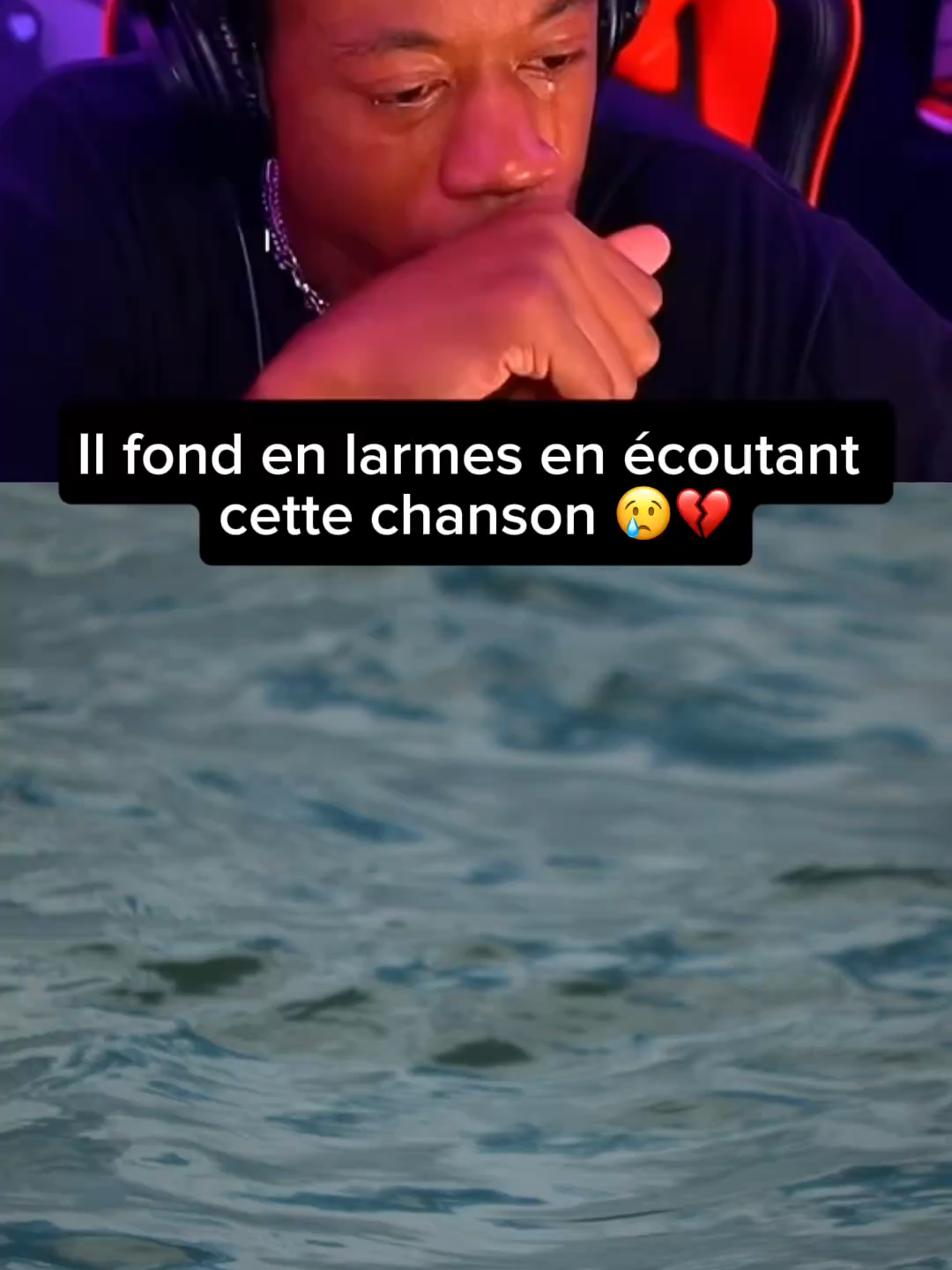 @Meeko