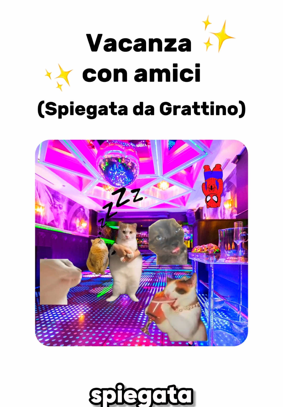 @Grattino😻