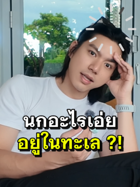@norforreal (ไบร์ทนอ ช่องจริง)